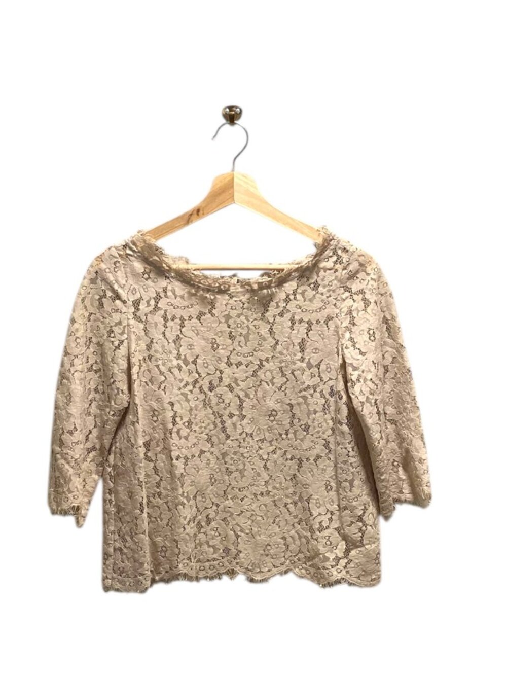 Joie Allover Lace Blouse Beige Size S Romantic Coquette Spring Neutral Bohemian - Picture 2 of 13